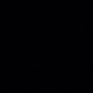 Meet your Posher, Naomi